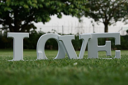 selective focus photography of white Love on green grass lawn thumbnail