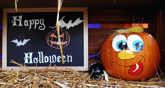 Happy Halloween pumpkin decor thumbnail