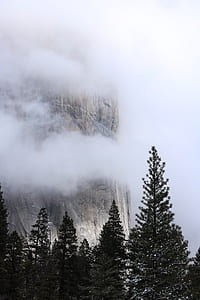 landscape photo of gray cliff formations near green pine trees thumbnail