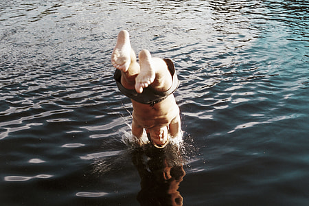candid photography of diving person thumbnail
