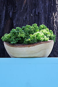 green leafed plant thumbnail