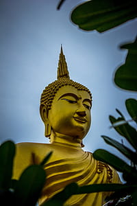 Gautama Buddha Statue thumbnail