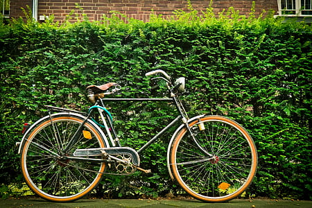 road bike near grasses thumbnail