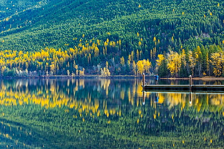 Reflection of Trees in Lake thumbnail