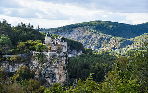 castle surrounded by trees thumbnail