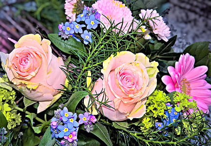 pink and yellow flowers thumbnail