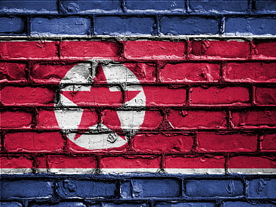 North Korea flag wall art at daytime thumbnail