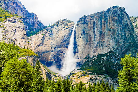 wood, landscape, nature, water thumbnail