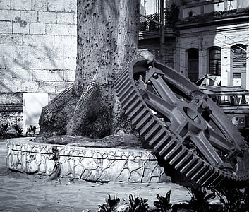 grayscale photo of gear near tree thumbnail