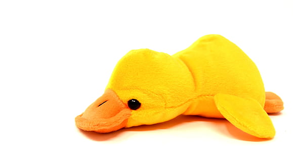 duck plush toy thumbnail
