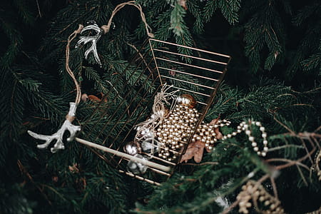 Chic holiday decor thumbnail