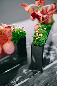 Miniature ornamental plants in rectangular boxes thumbnail