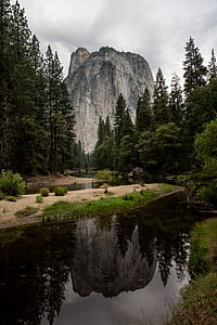 Yosemite  River, green trees near body of water thumbnail