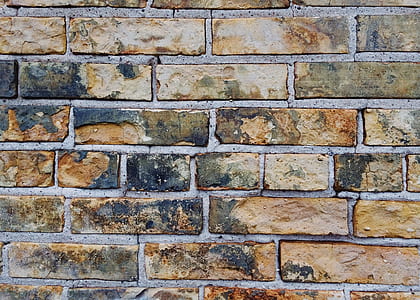close-up photo of green and brown brick wall thumbnail
