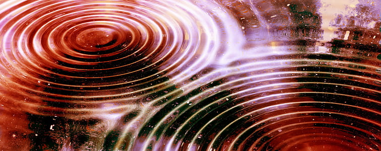 encounter, meet, wellness, line, balance, movement thumbnail