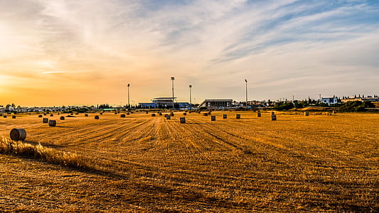 brown grass field under blue sky thumbnail