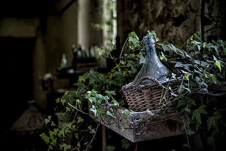 bottle in basket surrounded by plants thumbnail