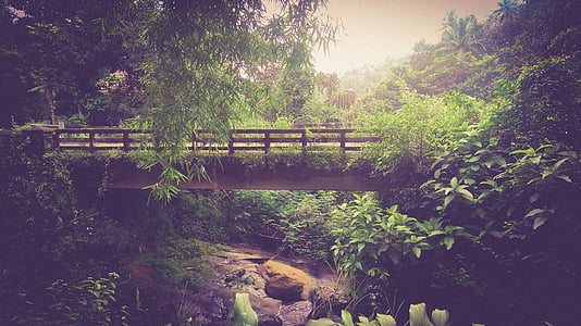 bridge under daylight thumbnail