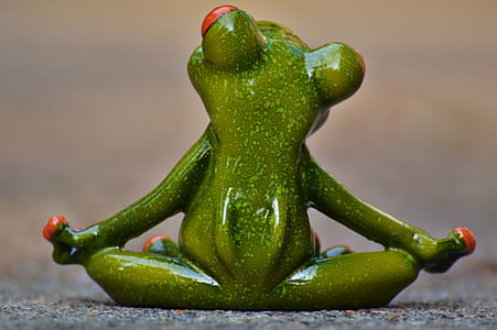 red-eyed tree frog thumbnail