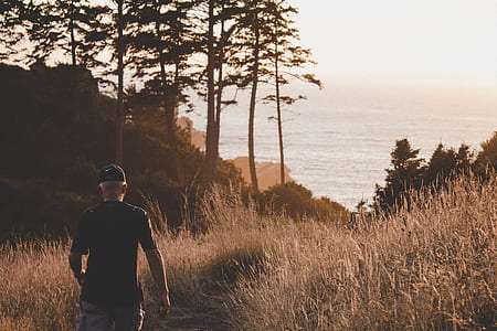 man walking through grass near body of water thumbnail