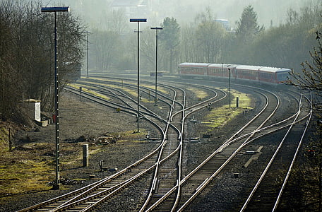 train traveling beside trees thumbnail