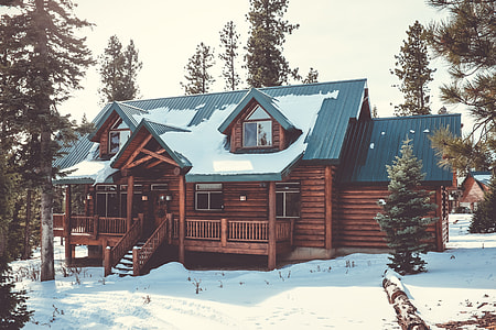 brown and green wooden house during winter thumbnail