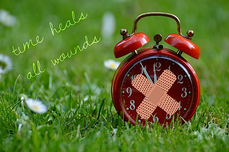 shallow focus photography of red alarm clock on grass field thumbnail