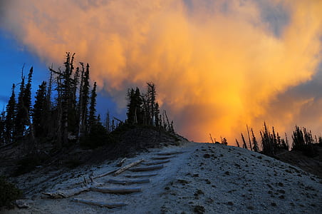 wood, dawn, landscape, sunset thumbnail