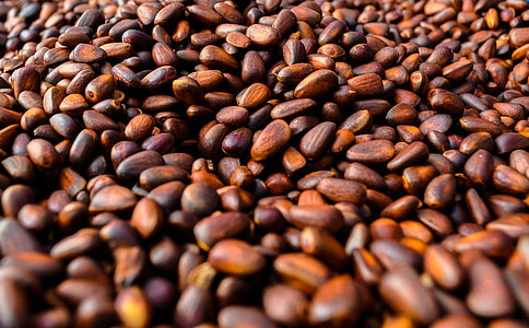 coffee bean lot thumbnail