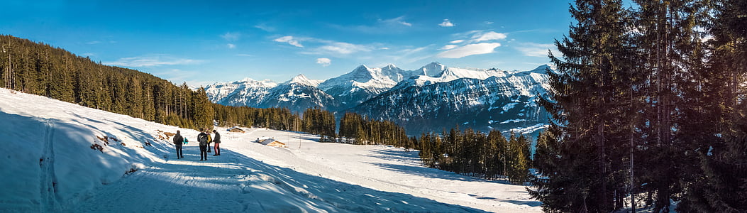 white snow-covered plain thumbnail