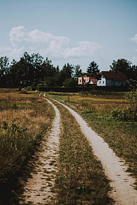 Photo of Road Near Houses thumbnail