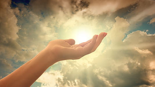 left human hand and yellow sun digital wallpaper thumbnail