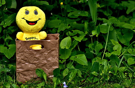 yellow plush toy in brown basket on grass thumbnail