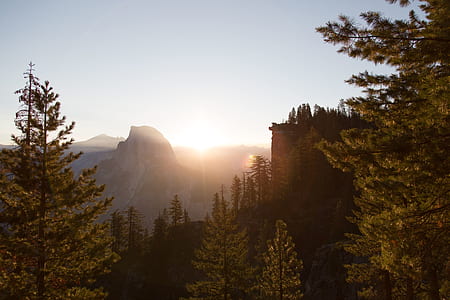 green pine trees near mountain thumbnail