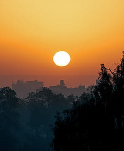 Silhouette Of Trees And Buildings During Sunset thumbnail