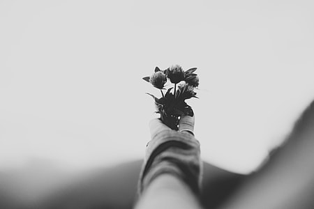 grayscale photography of person holding flowers thumbnail