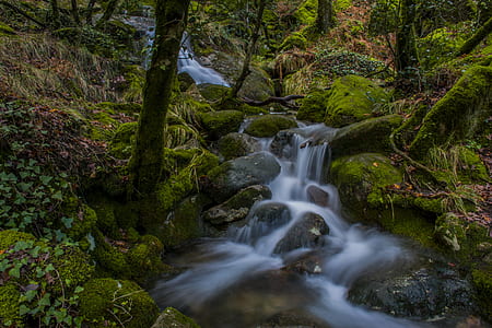 time lapse photo of river between trees thumbnail