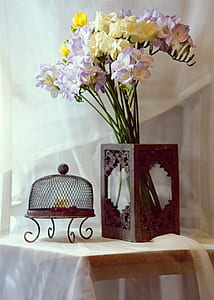 purple, white, and yellow freesia flowers beside candle lantern on table thumbnail