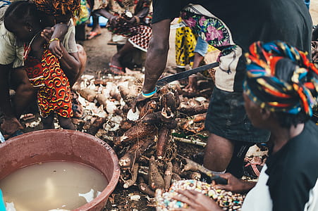 person holding rootcrop beside bowl thumbnail