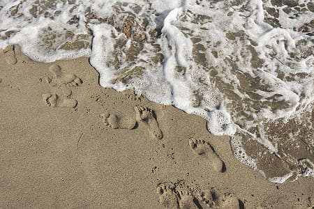 footprints on the sands near body of water thumbnail