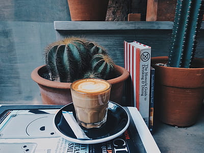 cafe latte near cactus thumbnail