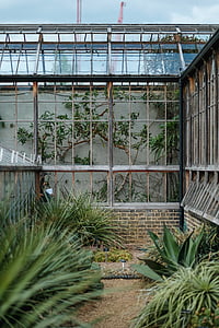 green leafed plants near gray concrete brick wall thumbnail