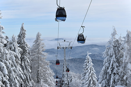 Gondola, Sycamore Krynicka thumbnail