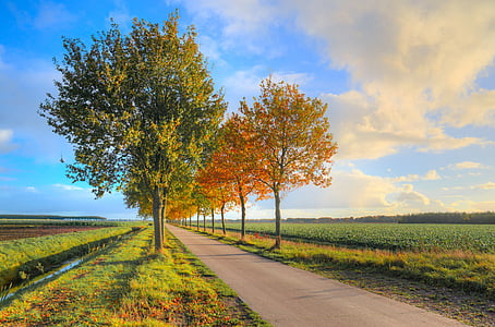 empty concrete road surrounded buy trees thumbnail