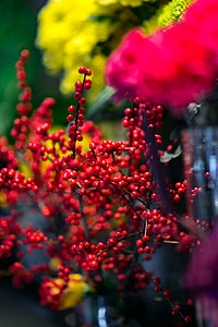 Red rowan with a colourful arrangement of flowers thumbnail