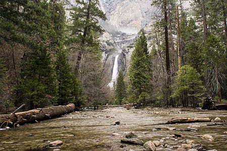 Water Falls Surrounded by Green Leaf Trees thumbnail