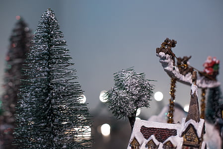 shallow focus photography of snow village house thumbnail