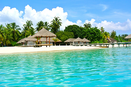 brown palm tree hut under blue sky during daytime thumbnail