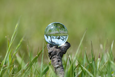 green grass thumbnail