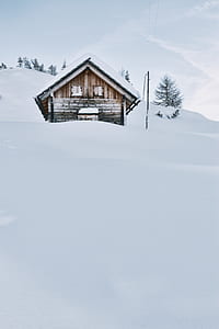 brown house cover with snow thumbnail